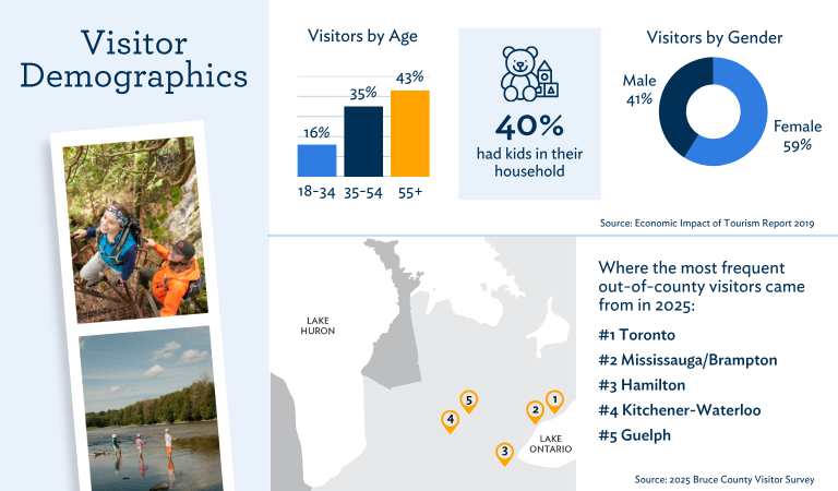 Visitor Demographics